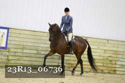 23R13_06736 thumbnail