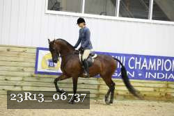 23R13_06737 thumbnail