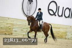 23R13_06739 thumbnail