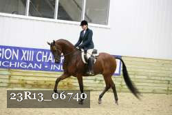 23R13_06740 thumbnail