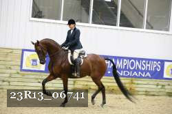 23R13_06741 thumbnail
