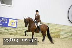 23R13_06742 thumbnail