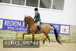 23R13_06744 thumbnail