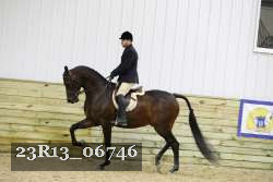23R13_06746 thumbnail