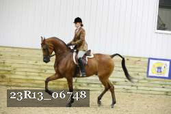 23R13_06748 thumbnail