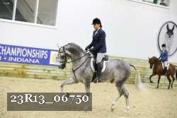 23R13_06750 thumbnail