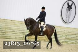 23R13_06765 thumbnail