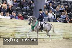 23R13_06780 thumbnail
