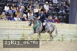 23R13_06781 thumbnail