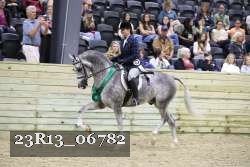 23R13_06782 thumbnail