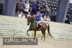 23R13_06784 thumbnail