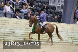23R13_06785 thumbnail