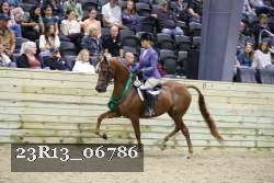 23R13_06786 thumbnail