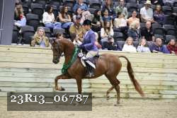 23R13_06787 thumbnail