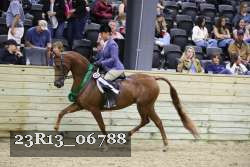 23R13_06788 thumbnail