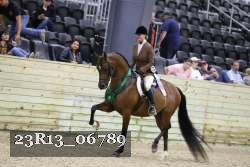 23R13_06789 thumbnail