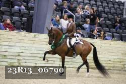 23R13_06790 thumbnail