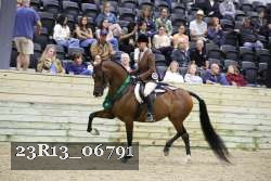 23R13_06791 thumbnail