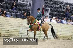 23R13_06794 thumbnail