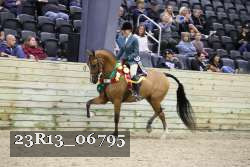 23R13_06795 thumbnail