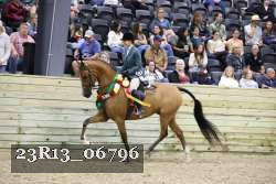 23R13_06796 thumbnail
