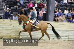 23R13_06797 thumbnail