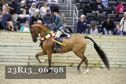 23R13_06798 thumbnail