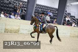 23R13_06799 thumbnail