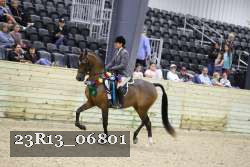 23R13_06801 thumbnail