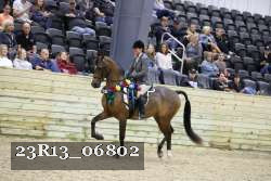 23R13_06802 thumbnail