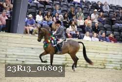 23R13_06803 thumbnail