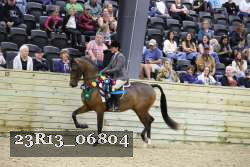 23R13_06804 thumbnail