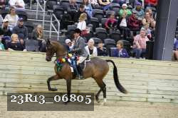 23R13_06805 thumbnail