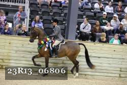 23R13_06806 thumbnail