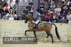 23R13_06807 thumbnail