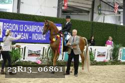 23R13_06861 thumbnail