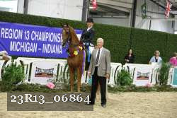 23R13_06864 thumbnail
