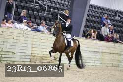 23R13_06865 thumbnail