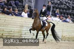 23R13_06866 thumbnail