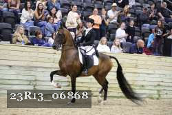 23R13_06868 thumbnail