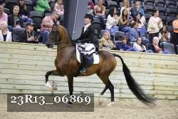 23R13_06869 thumbnail
