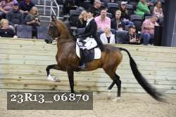 23R13_06870 thumbnail
