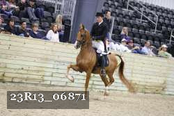 23R13_06871 thumbnail
