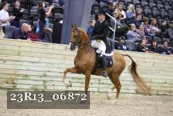 23R13_06872 thumbnail