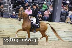 23R13_06874 thumbnail