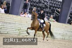 23R13_06875 thumbnail