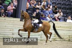 23R13_06878 thumbnail