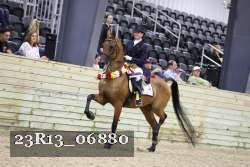 23R13_06880 thumbnail