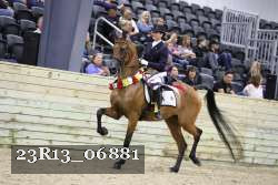23R13_06881 thumbnail