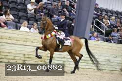 23R13_06882 thumbnail